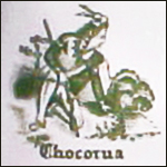 Chocorua Inn