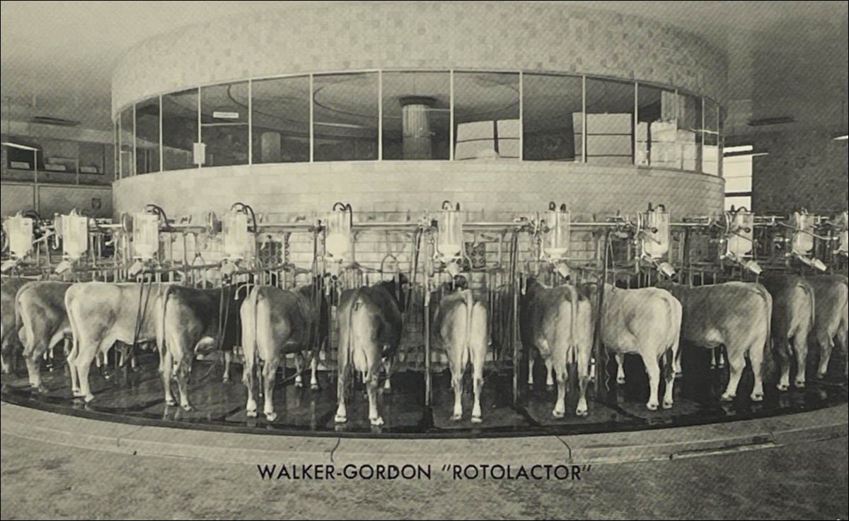 Walker Gordon-Rotolactor